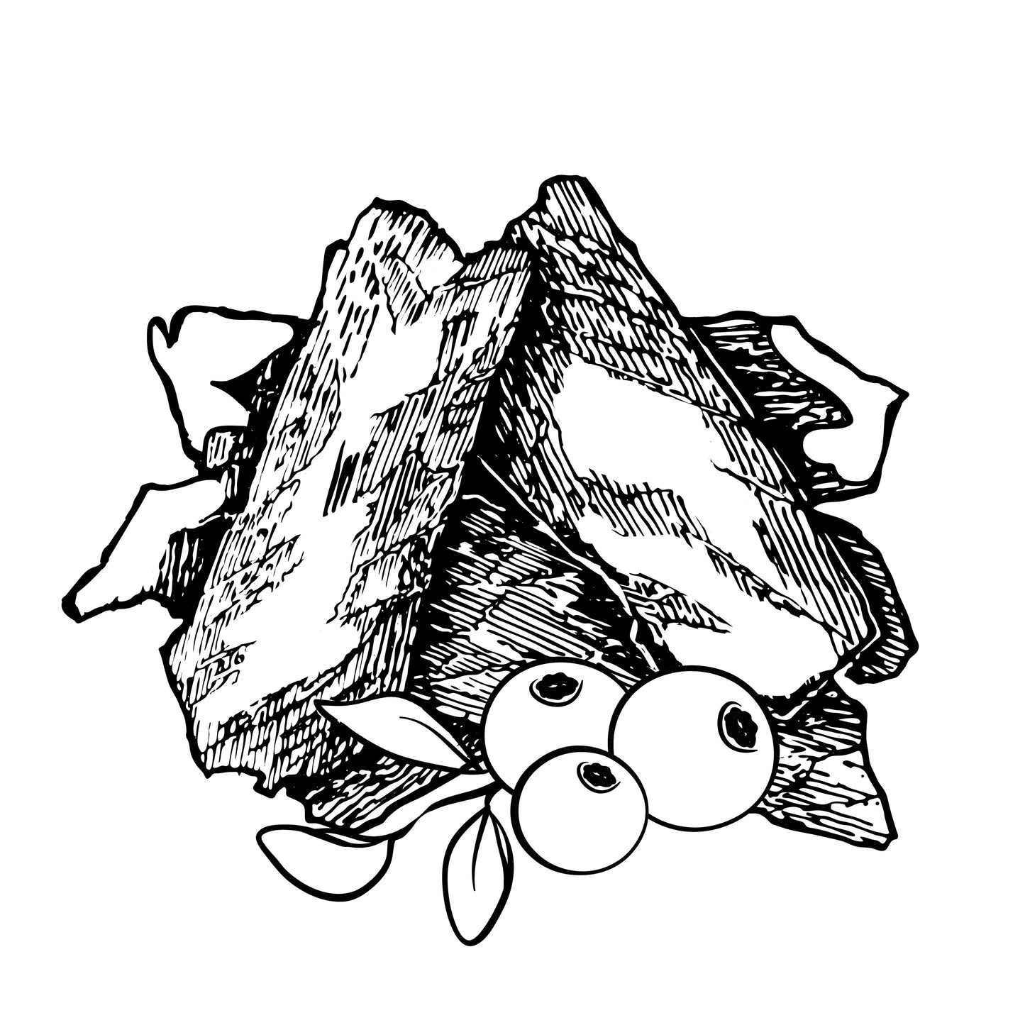 Pemmican Bison Bar - Microbatch